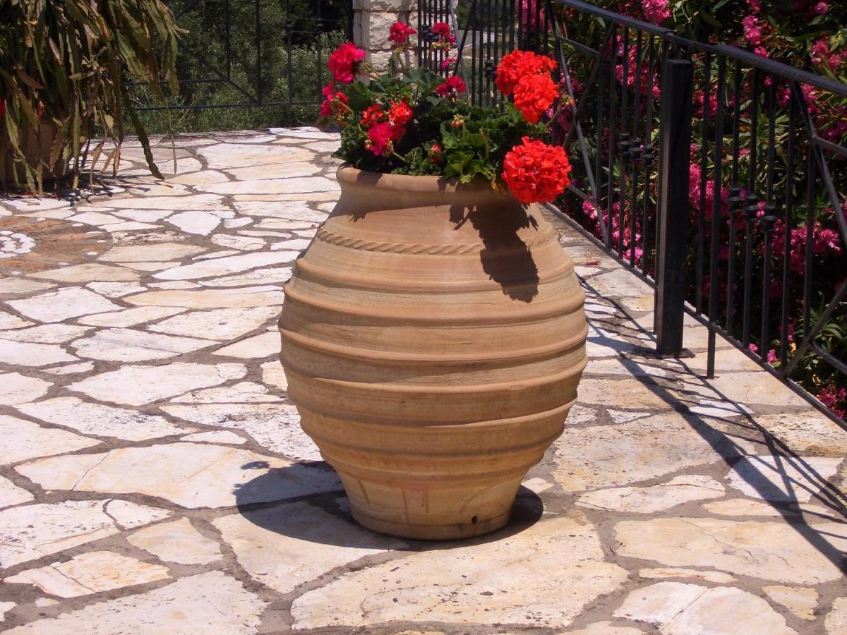 Villa Bacchus Kassiopi Corfu 외부 사진